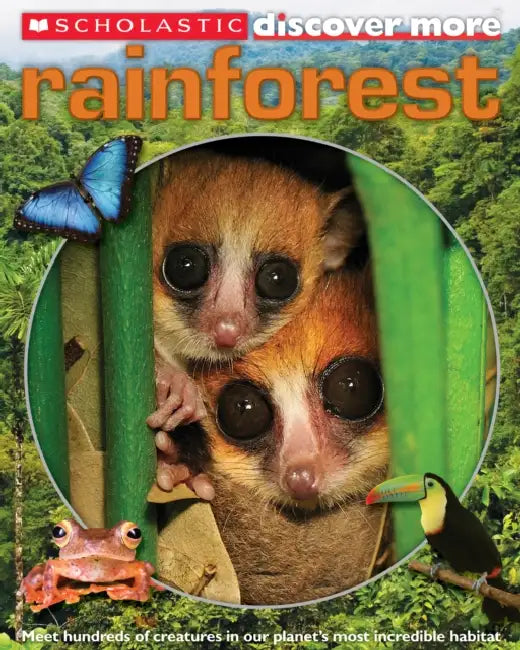 Scholastic Discover More: Rainforest by Penelope Arlon