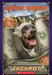 Jackpot: A Swindle Mystery by Gordon Korman