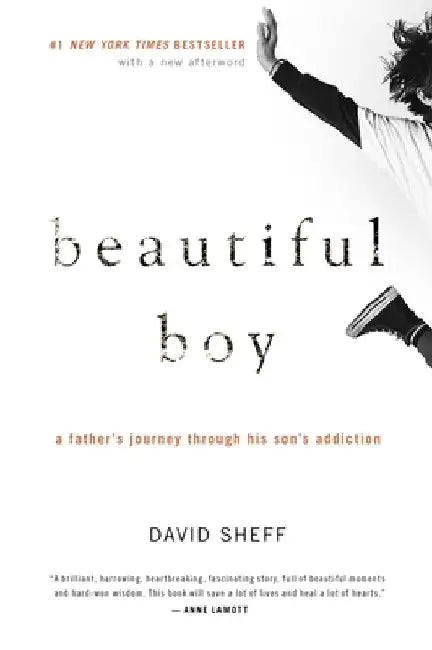 Beautiful Boy: A Father's Journey Through His Son's Addiction by David Sheff