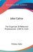 John Calvin: The Organizer Of Reformed Protestantism 1509 To 1564 by Williston Walker
