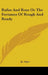 Rufus And Rose Or The Fortunes Of Rough And Ready by Jr. Alger Horatio