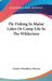Fly-Fishing In Maine Lakes Or Camp Life In The Wilderness by Charles Woodbury Stevens