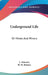 Underground Life: Or Mines And Miners by L. Simonin, H. W. Bristow