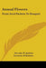 Annual Flowers: From Seed Packets to Bouquet by Dorothy H. Jenkins, Gottscho-Schleisner, George L. Hollrock