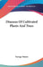 Diseases Of Cultivated Plants And Trees by George Massee