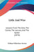 Little And Wise: Lessons From The Ants, The Conies, The Locusts, And The Spider (1876) by William Wilberforce Newton