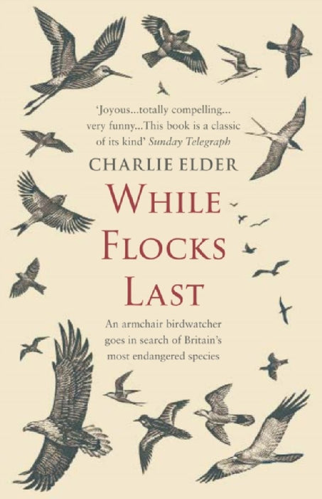 While Flocks Last: An Armchair Birdwatcher Goes in Search of Our Most Endangered Species