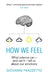 How We Feel by Giovanni (Author) Frazzetto