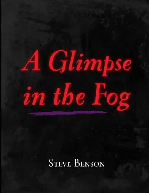 A Glimpse in the Fog by Steve Benson