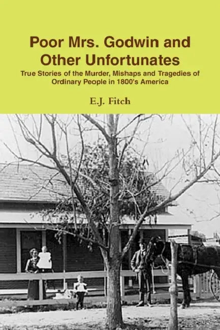Poor Mrs. Godwin and Other Unfortunates by E. J. Fitch