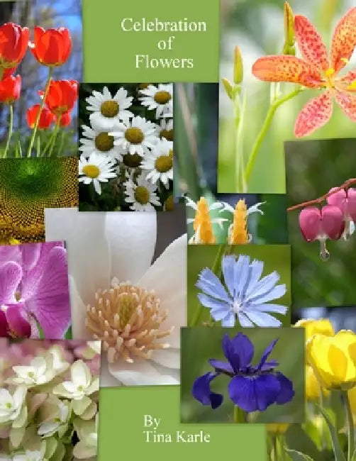 Celebration of Flowers by Tina Karle