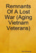 Remnants Of A Lost War (Aging Vietnam Veterans) by Tim Connelly