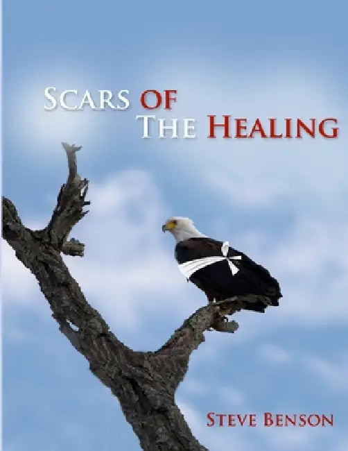 Scars of the Healing by Steve Benson