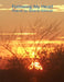 Following My Heart by Selena Millman