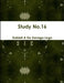 Study No.16 by Dubiell a. De Zarraga Lago