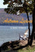 Wind & Autumn Leaves by James L. Collymore