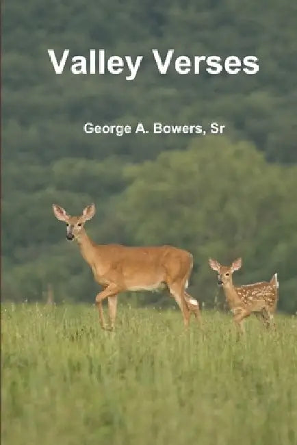 Valley Verses by George Bowers