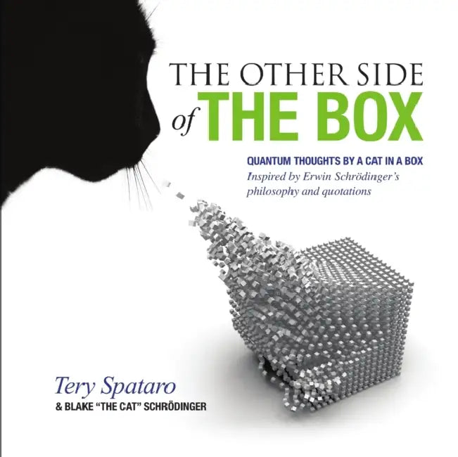 The Other Side of the Box by Tery Spataro