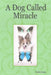 A Dog Called Miracle by Valerie Greene