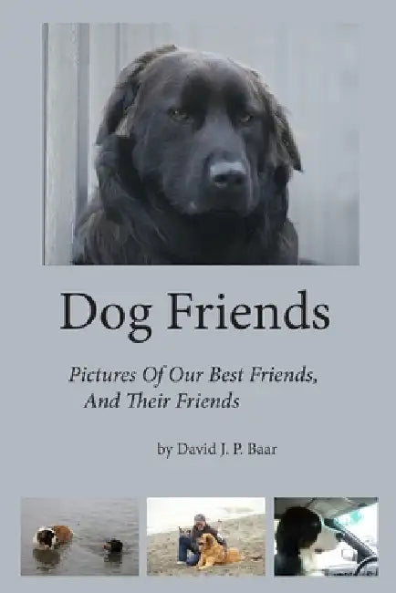 Dog Friends by David Baar