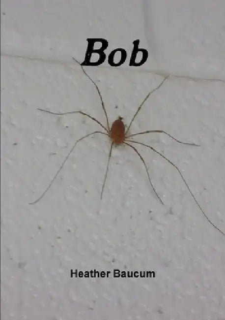 Bob by Heather Baucum