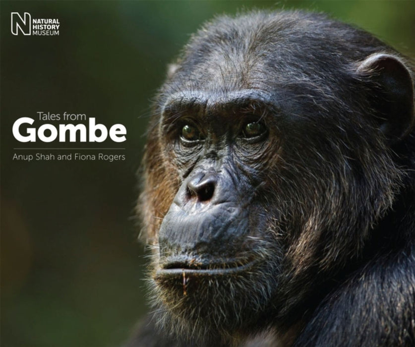 Tales From Gombe by Anup Shah