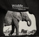 Wildlife Photographer of the Year: Portfolio 25 by Rosamund Kidman Cox
