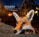 Wildlife Photographer of the Year: Portfolio 26 by Rosamund Kidman Cox