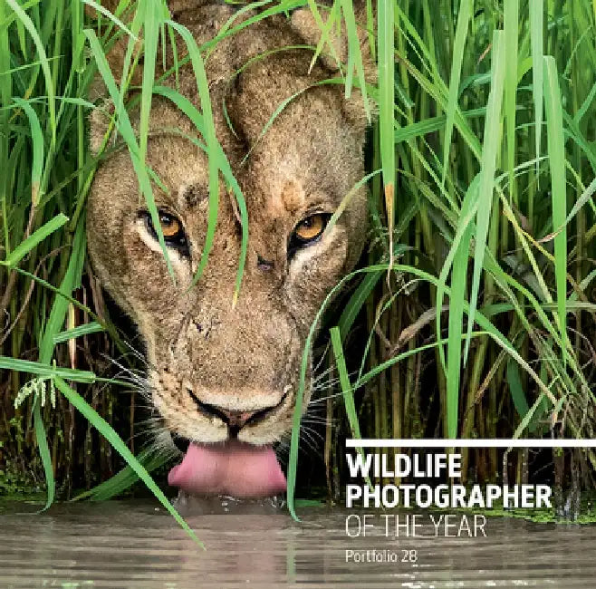Wildlife Photographer of the Year: Portfolio 28 by Rosamund Kidman Cox