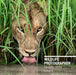 Wildlife Photographer of the Year: Portfolio 28 by Rosamund Kidman Cox