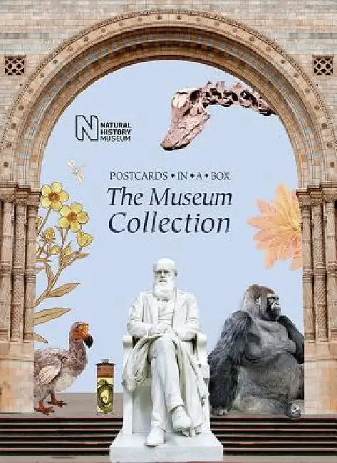 The Museum Collection: Postcards in a Box by Natural History Museum