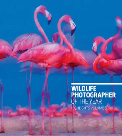 Wildlife Photographer of the Year: Highlights Volume 5 by Rosamund Kidman Cox