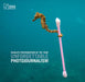 Wildlife Photographer of the Year: Unforgettable Photojournalism by Rosamund Kidman Cox