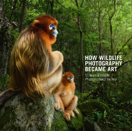 How Wildlife Photography Became Art: 55 Years of Wildlife Photographer of the Year by Rosamund Kidman Cox