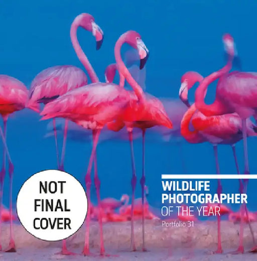 Wildlife Photographer of the Year: Portfolio 31, Volume 31 by Rosamund Kidman Cox