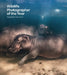 Wildlife Photographer of the Year: Highlights Volume 9: Volume 9 by Rosamund Kidman Cox