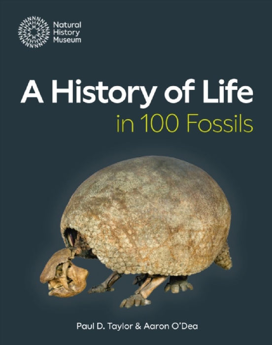 A History of Life in 100 Fossils by Paul D. Taylor