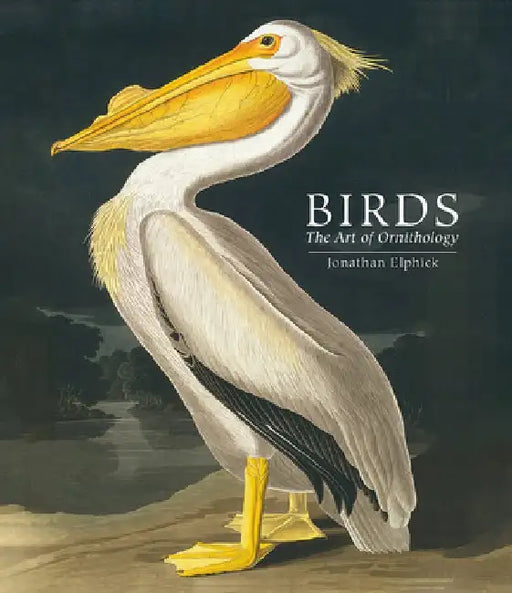 Birds: The Art of Ornithology by Jonathan Elphick