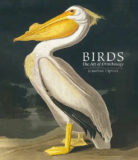 Birds: The Art of Ornithology by Jonathan Elphick