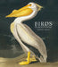 Birds: The Art of Ornithology by Jonathan Elphick