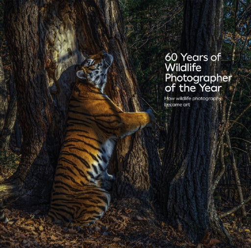 60 Years of Wildlife Photographer of the Year: How Wildlife Photography Became Art