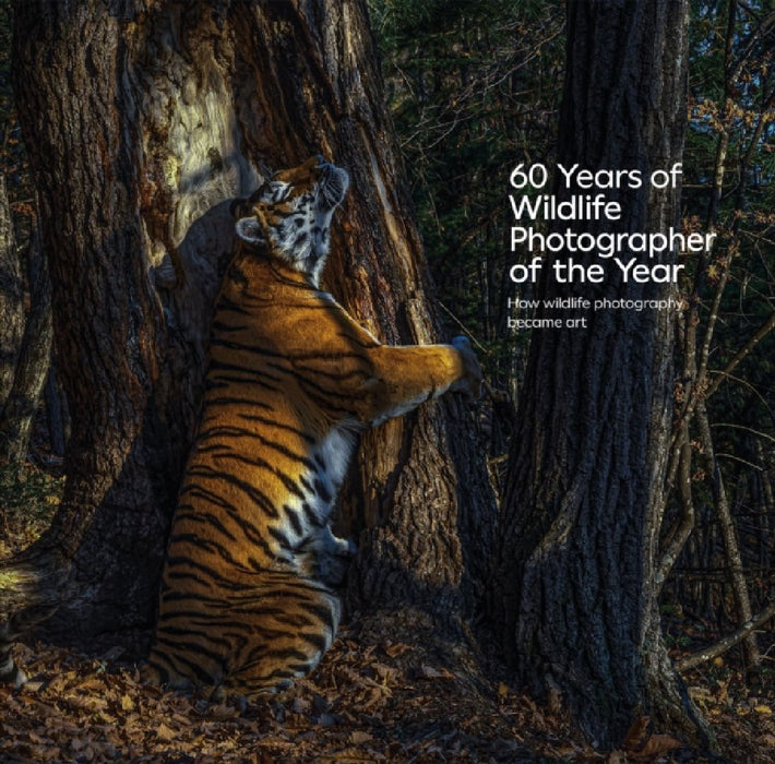 60 Years of Wildlife Photographer of the Year: How Wildlife Photography Became Art
