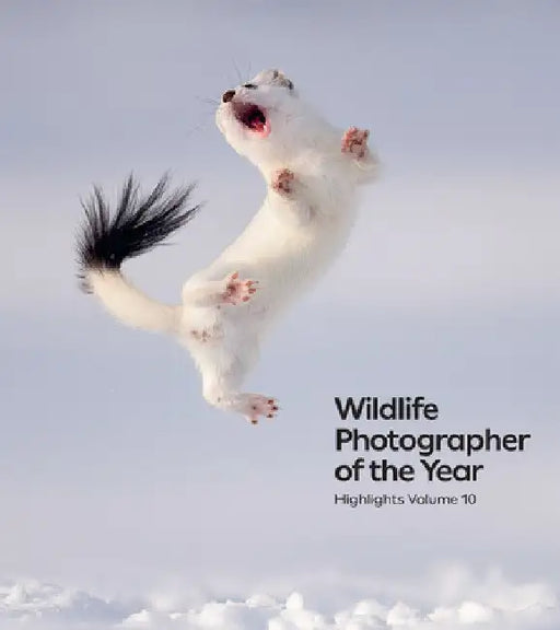 Wildlife Photographer of the Year: Highlights Volume 10: Volume 10 by Keith Wilson