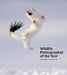 Wildlife Photographer of the Year: Highlights Volume 10: Volume 10 by Keith Wilson
