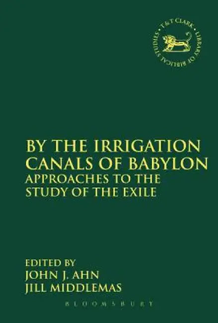 By the Irrigation Canals of Babylon: Approaches to the Study of the Exile by John J. Ahn