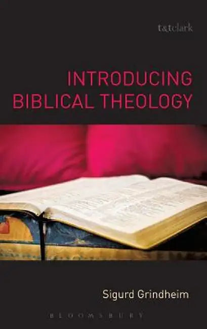 Introducing Biblical Theology by Sigurd Grindheim