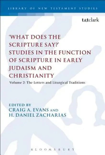 'What Does the Scripture Say?' Studies in the Function of Scripture in Early Judaism and Christianity, Volume 2: Volume 2: The Letters and Liturgical by Craig A. Evans