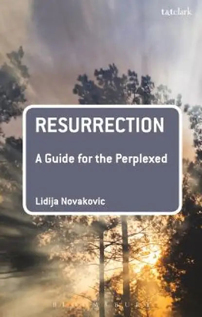 Resurrection: A Guide for the Perplexed by Lidija Novakovic