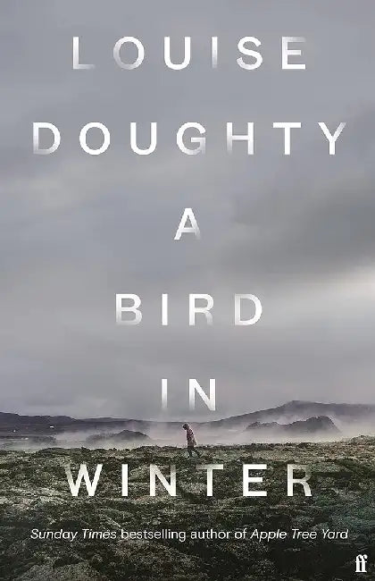 A Bird in Winter by Louise Doughty