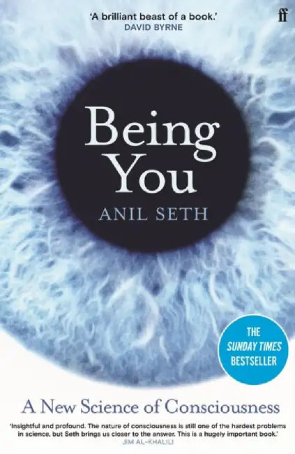 Being You by Seth, Professor Anil